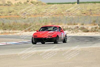 media/Jul-27-2024-Speed Ventures (Sat) [[14cea0cda4]]/Purple/Cotton Corners 1250pm/